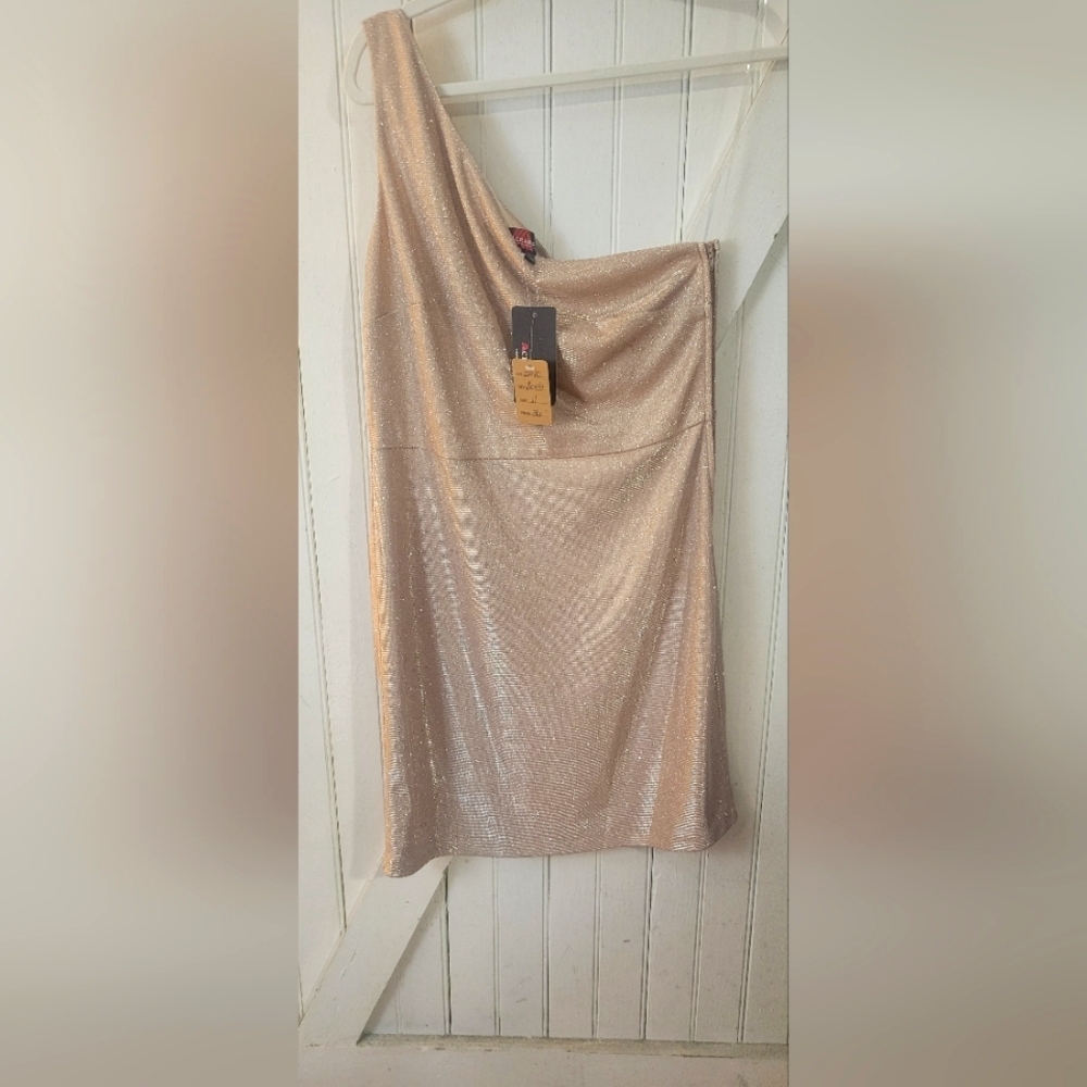 NWT Mini Dress